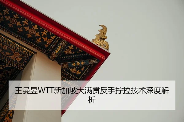 wang-man-yu-xin-jia-po-da-man-guan-fan-shou-ning-la-ji-shu-shen-du-jie-xi-3-410.jpg