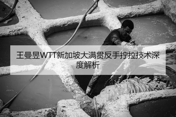 王曼昱WTT新加坡大满贯反手拧拉技术深度解析
