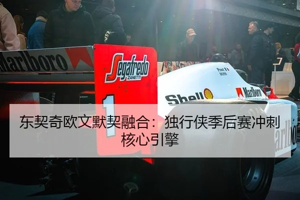 东契奇欧文默契融合：独行侠季后赛冲刺核心引擎