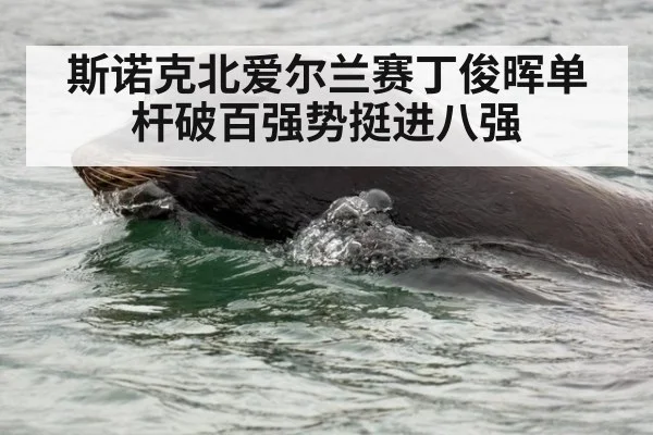 斯诺克北爱尔兰赛丁俊晖单杆破百强势挺进八强