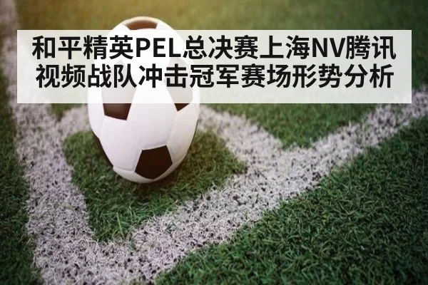 和平精英PEL总决赛上海NV腾讯视频战队冲击冠军赛场形势分析